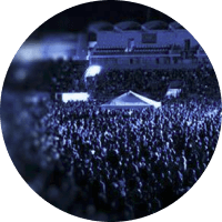 Shows